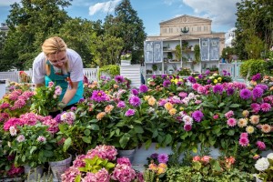 Ландшафтный дизайн и садово-парковое строительство5551 Ландшафтный дизайн и садово-парковое строительство5551